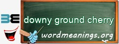 WordMeaning blackboard for downy ground cherry